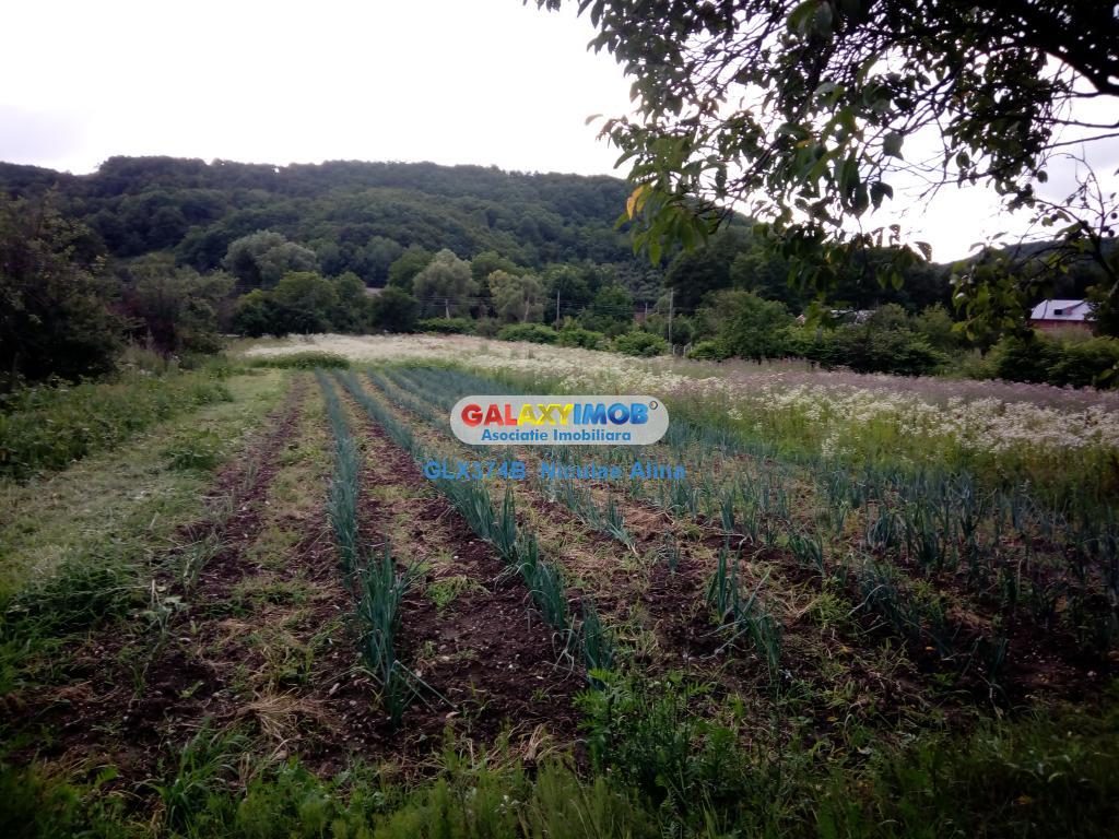 Teren intravilan comuna Bogati sat Birloi Jud. Arges - foto 9