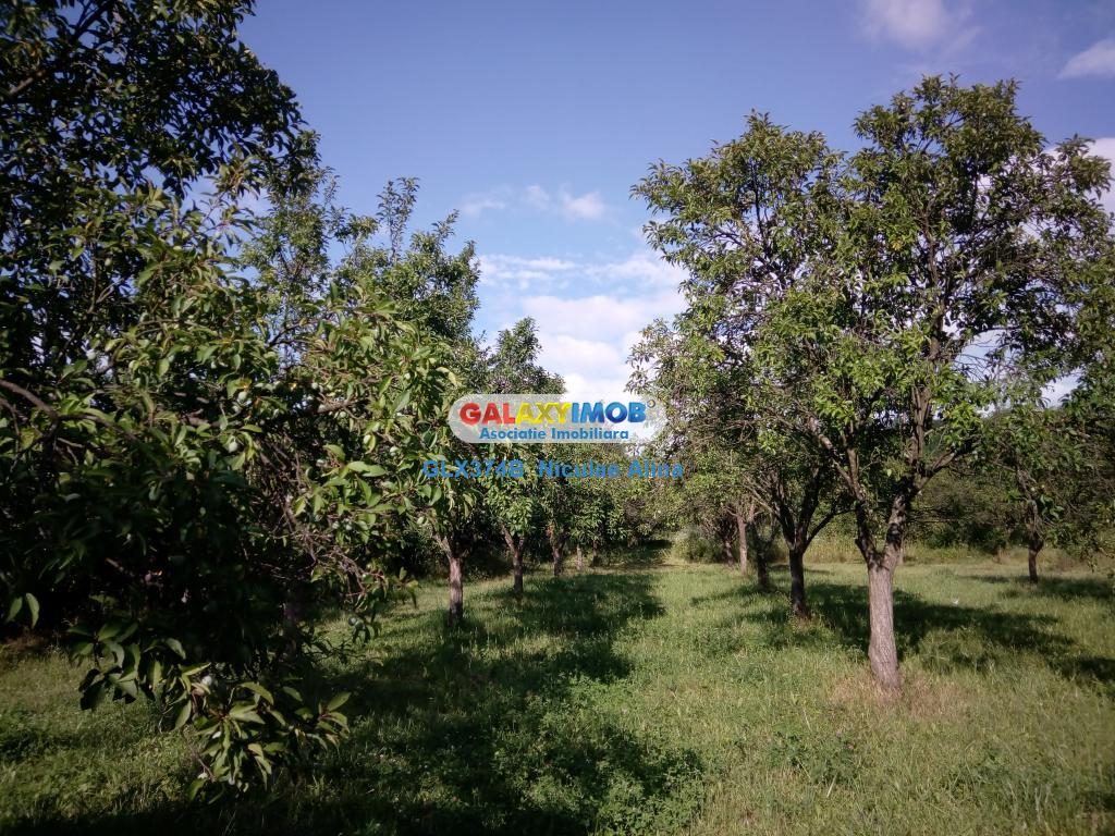 Teren intravilan comuna Bogati sat Birloi Jud. Arges - foto 10