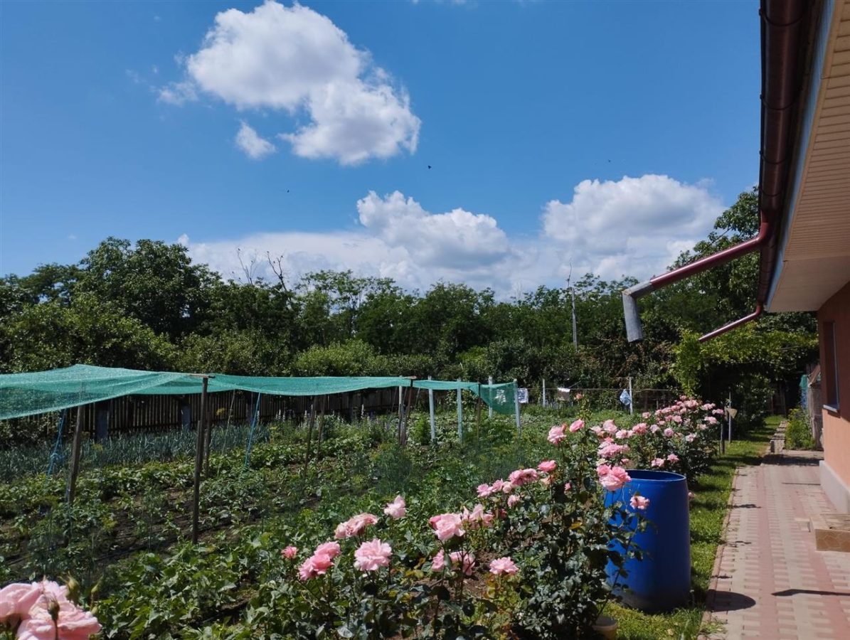 Vila, Republicii, Bacau - foto 11