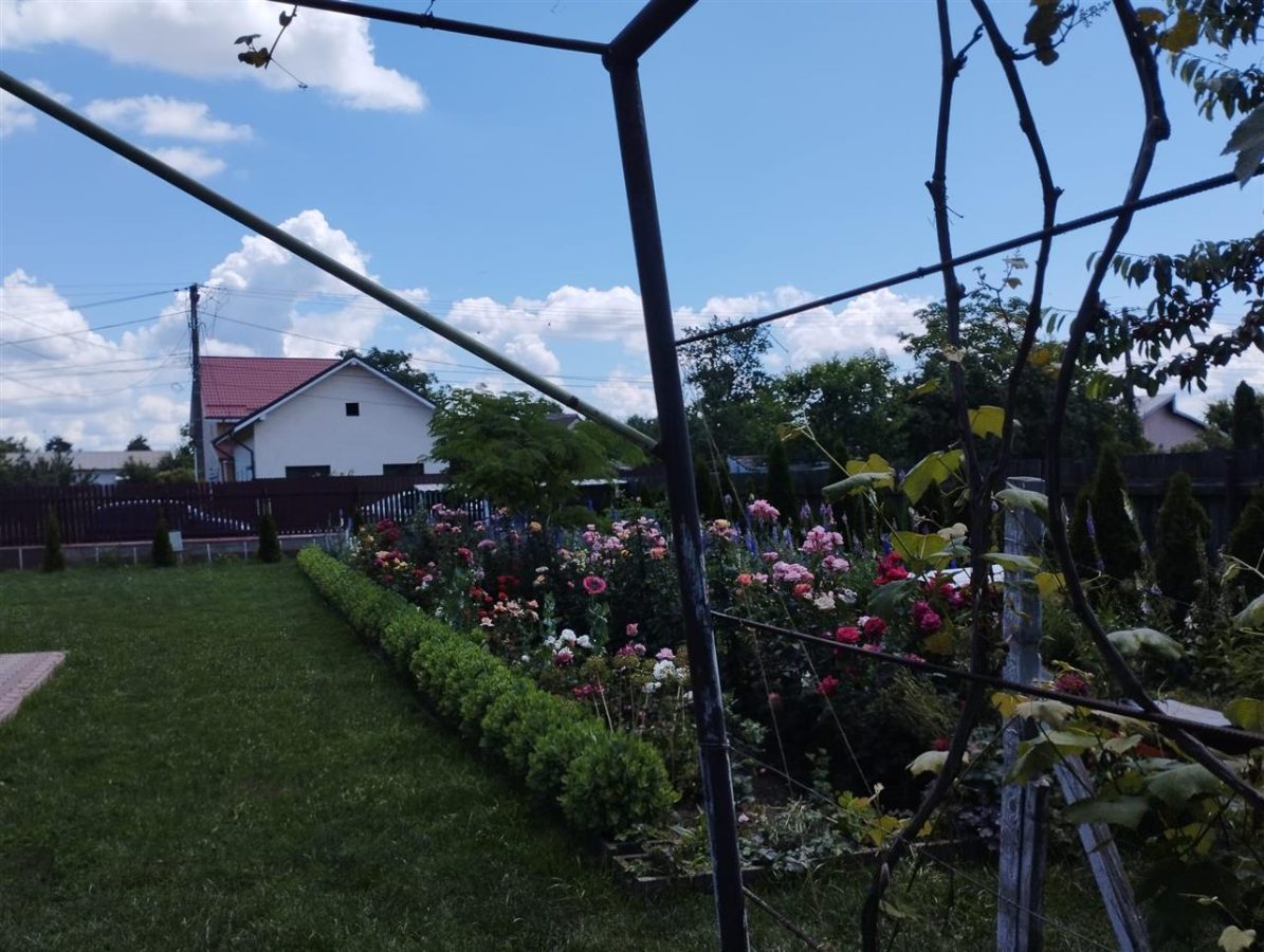 Vila, Republicii, Bacau - foto 20