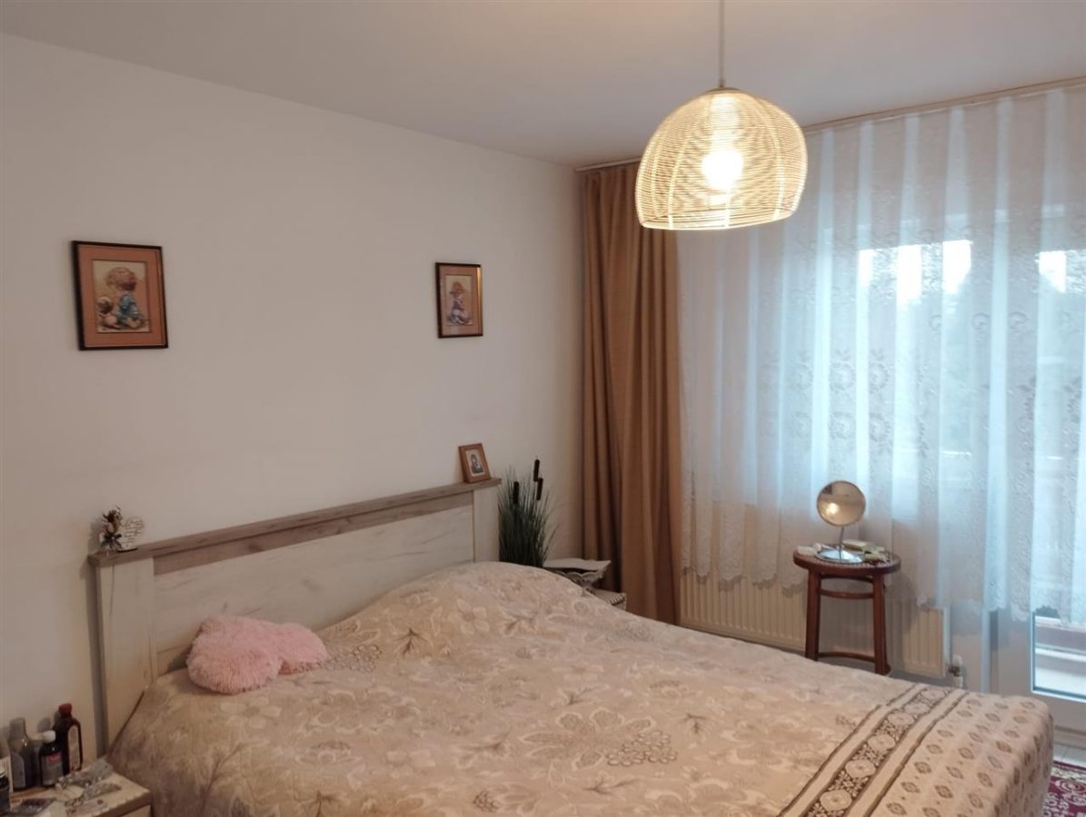 Vila, Republicii, Bacau - foto 23