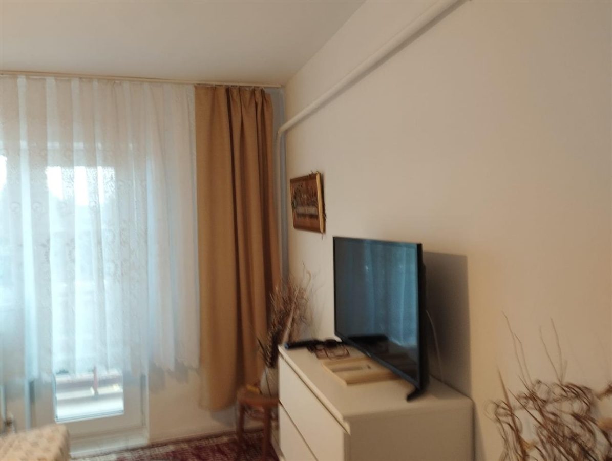 Vila, Republicii, Bacau - foto 25