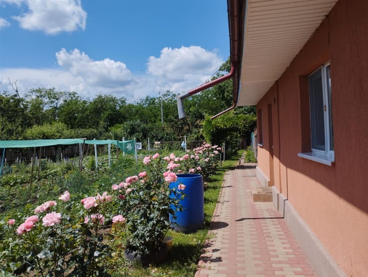 Vila, Republicii, Bacau - foto 4