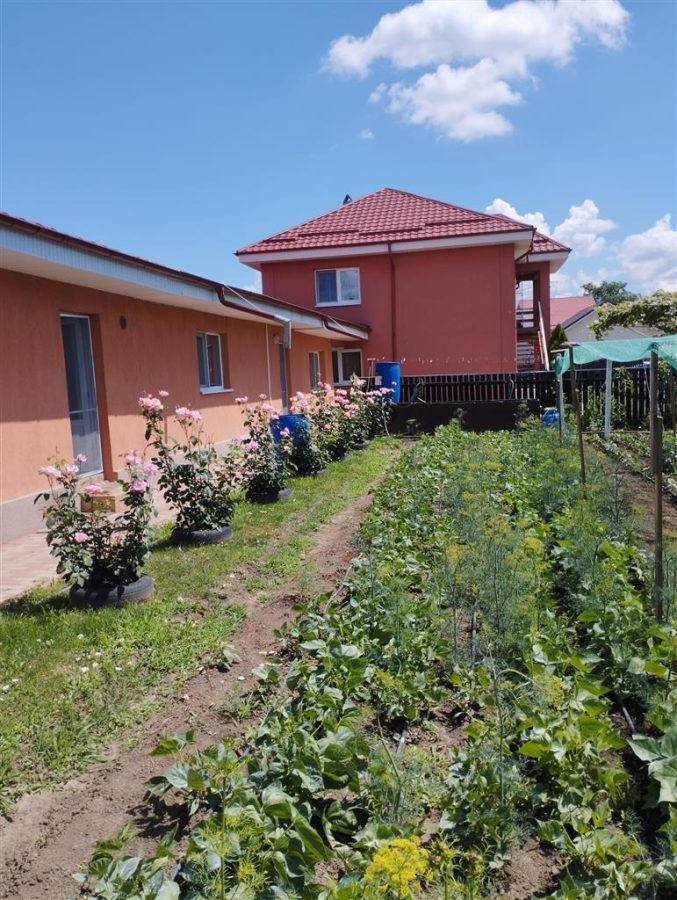 Vila, Republicii, Bacau - foto 5