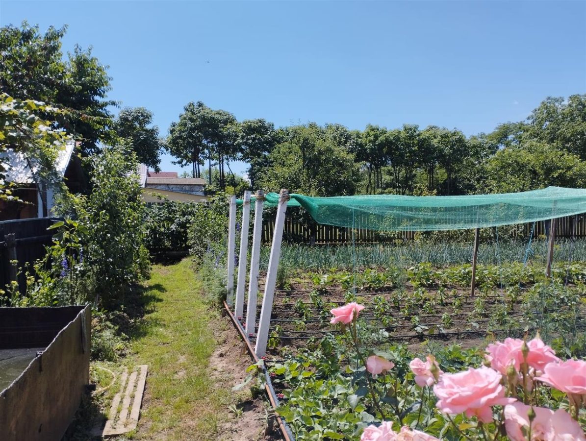 Vila, Republicii, Bacau - foto 7