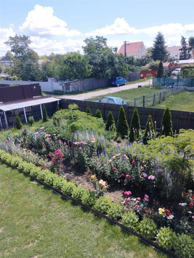 Vila, Republicii, Bacau - foto 9