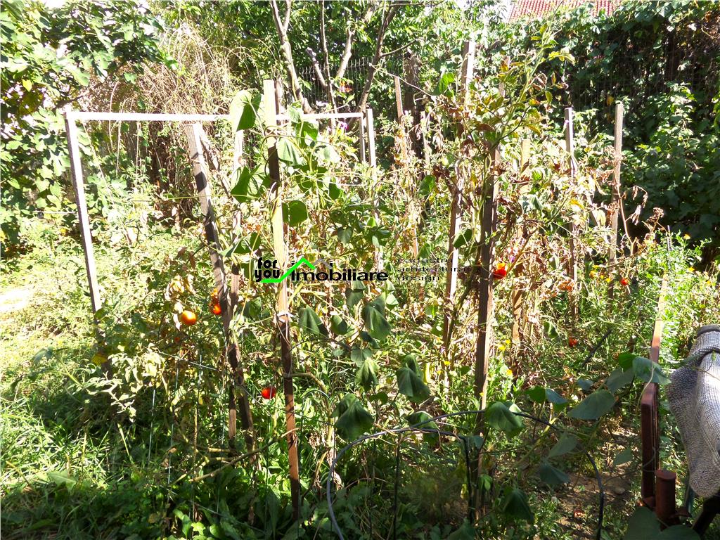 VILA  10 camere OPORTUNITATE CLINICA, GRADINITA - foto 13