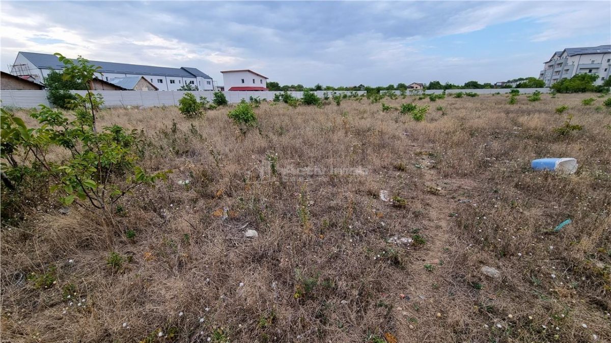 Teren 10.000 mp Giurgiului Tiparnitei - foto 3