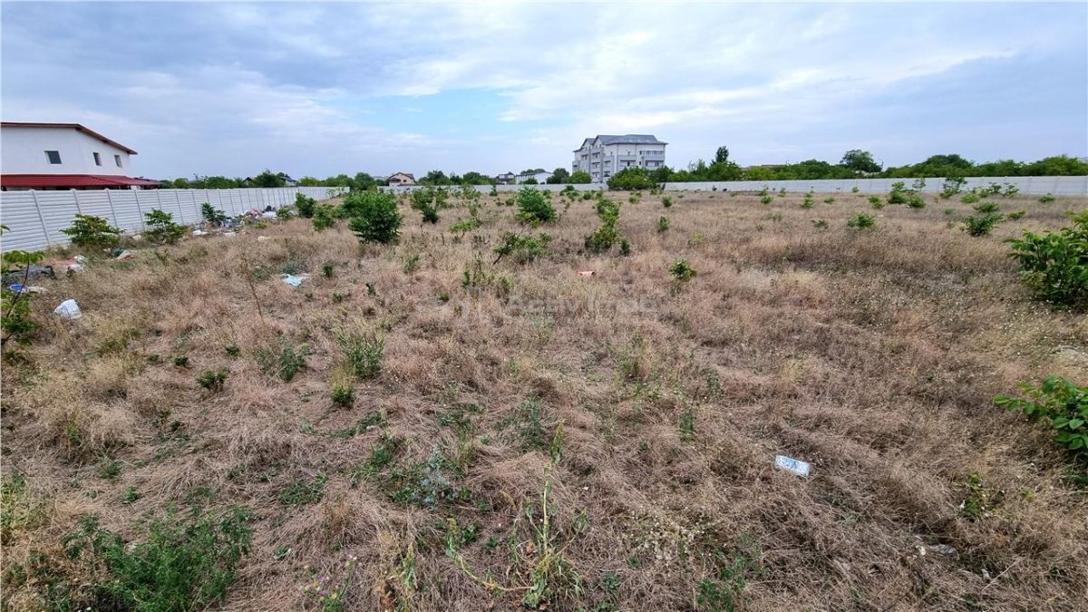 Teren 10.000 mp Giurgiului Tiparnitei - foto 4