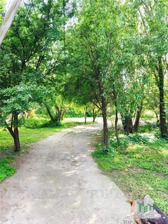 Vila 7 camere- 300 mpu+ curte 2000 mp- Giulesti- Sector 6 - foto 5