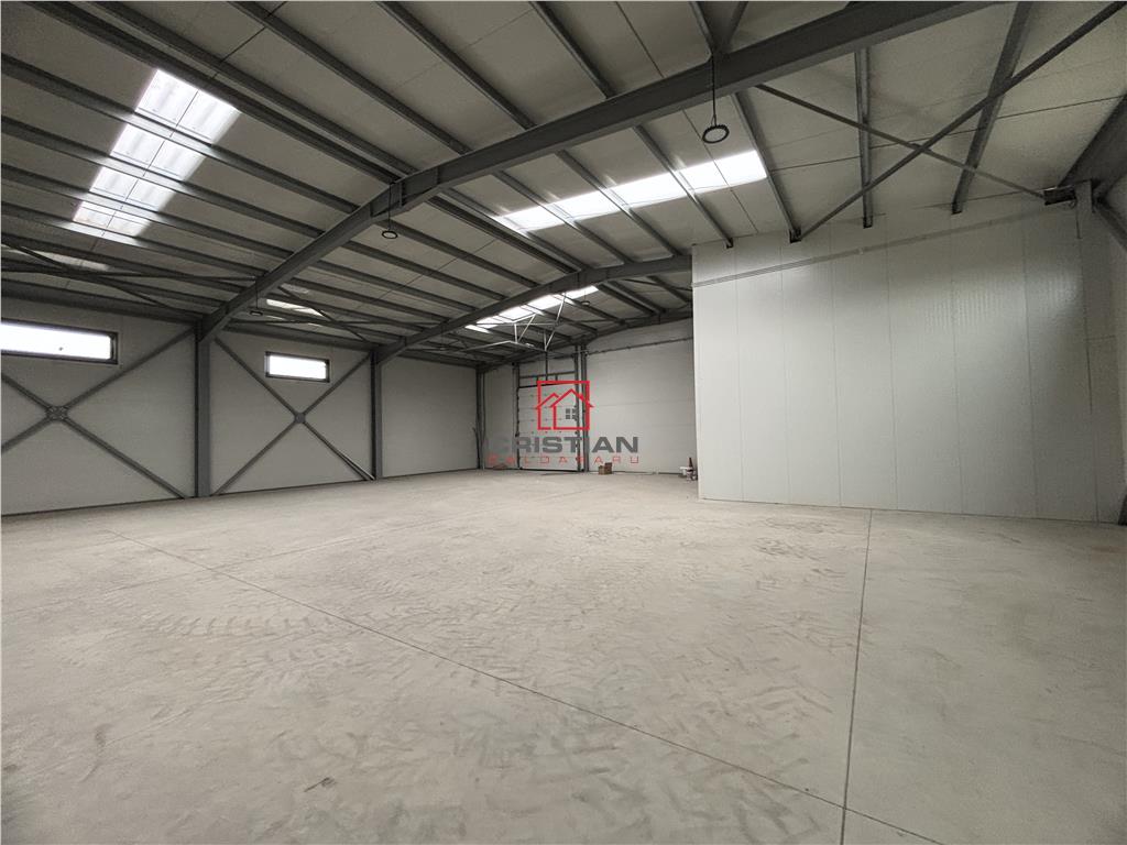 Vanzare depozit/hala/spatiu industrial Chitila - Centura, ILFOV - foto 6