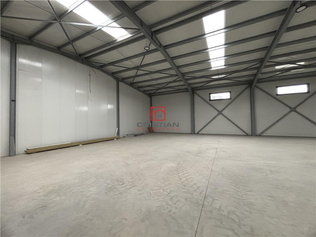 Vanzare depozit/hala/spatiu industrial Chitila - Centura, ILFOV - foto 8