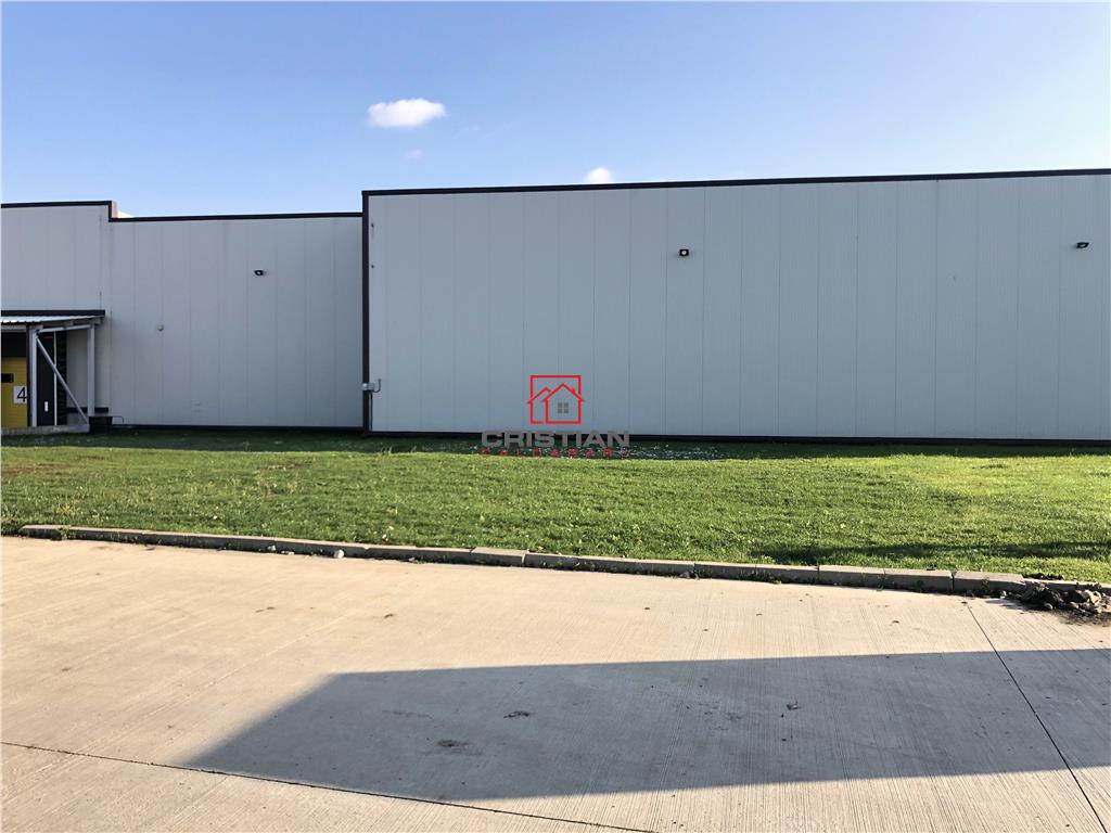 Inchiriere depozit/hala/spatiu industrial Chiajna - A1 - Centura - foto 3