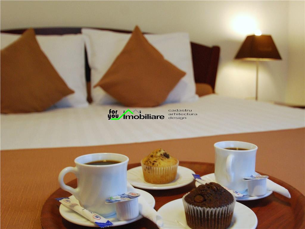 Pensiune, afacere la cheie, cu 10 camere la 10 minute de centru orasului - foto 5