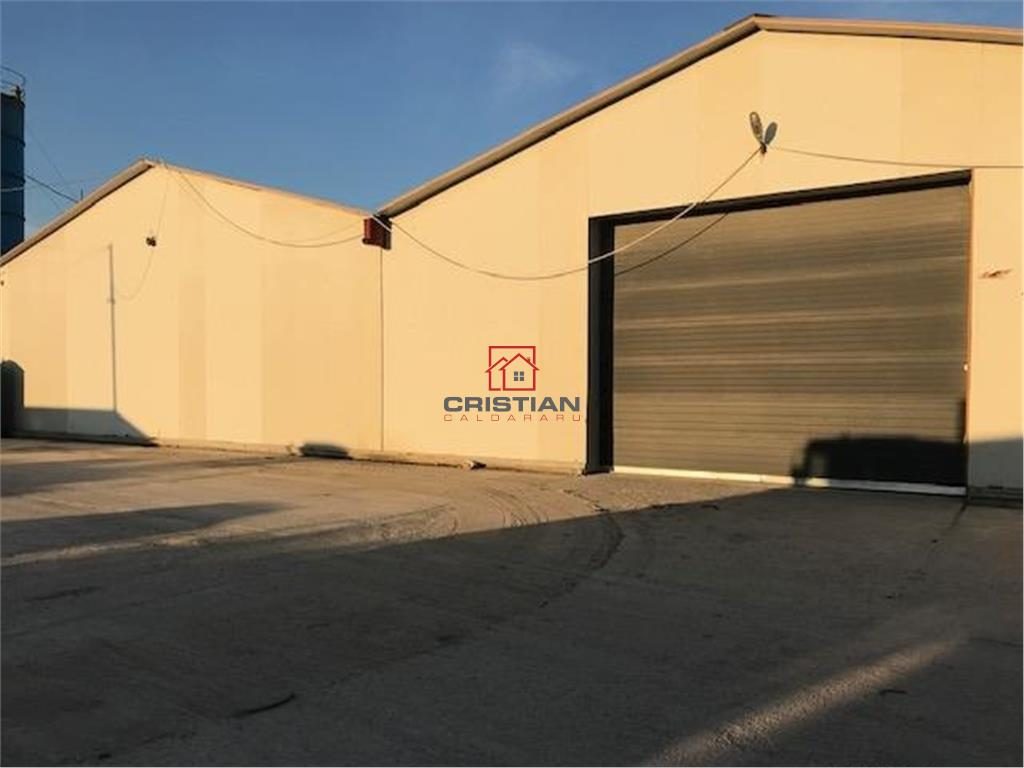 Inchiriere depozit - hala - spatiu industrial Magurele - Bragadiru - Centura, ILFOV - 
