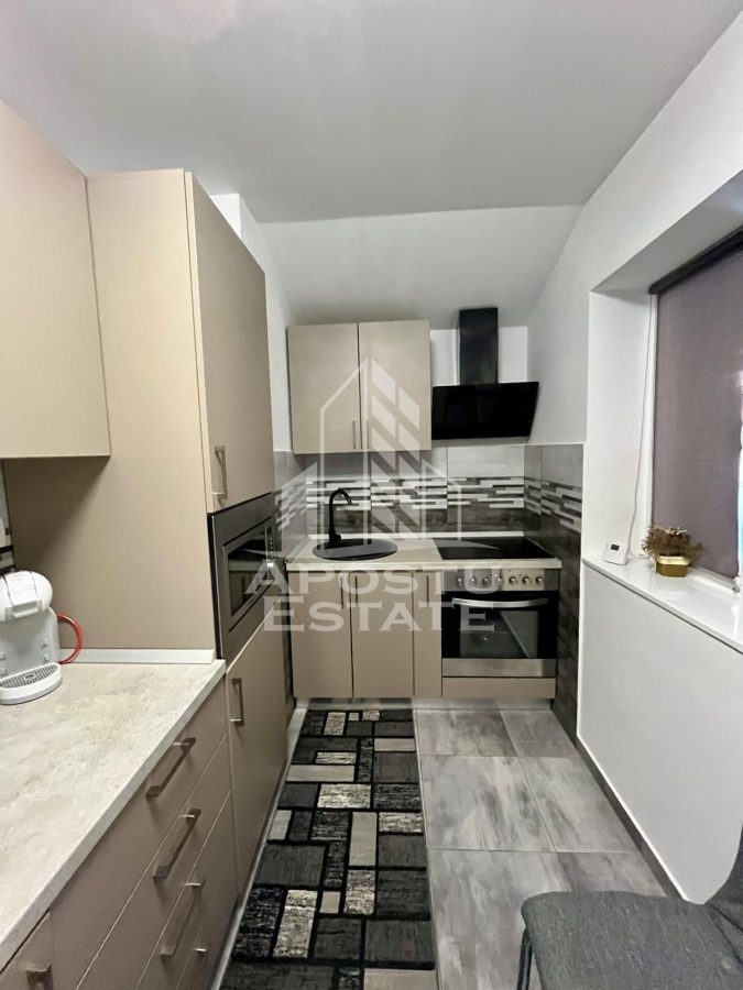 Doua apartamente de vanzare la curte comuna,zona Traian, Timisoara - foto 19