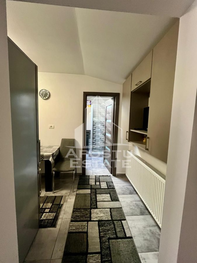 Doua apartamente de vanzare la curte comuna,zona Traian, Timisoara - foto 20