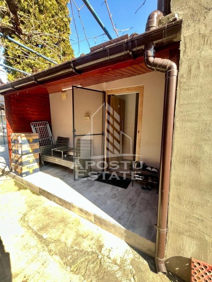 Doua apartamente de vanzare la curte comuna,zona Traian, Timisoara - foto 22