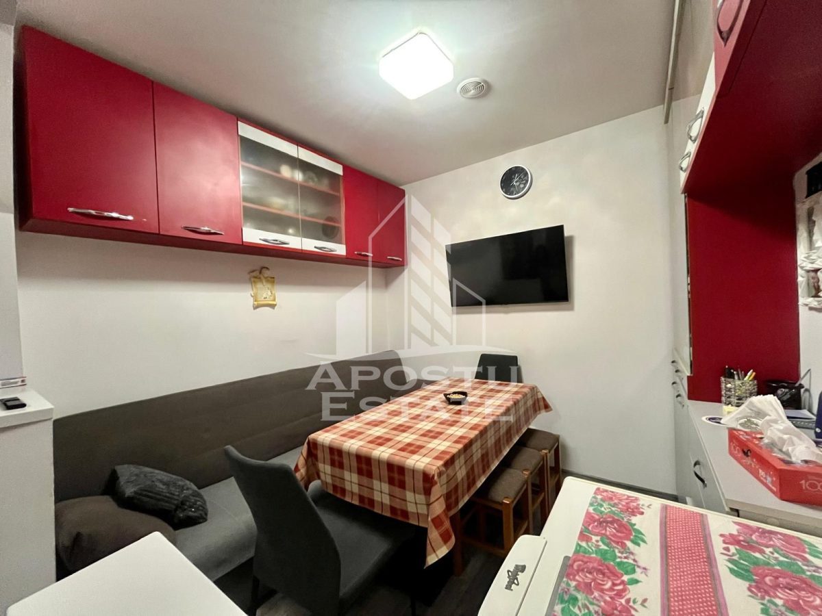 Doua apartamente de vanzare la curte comuna,zona Traian, Timisoara - foto 4