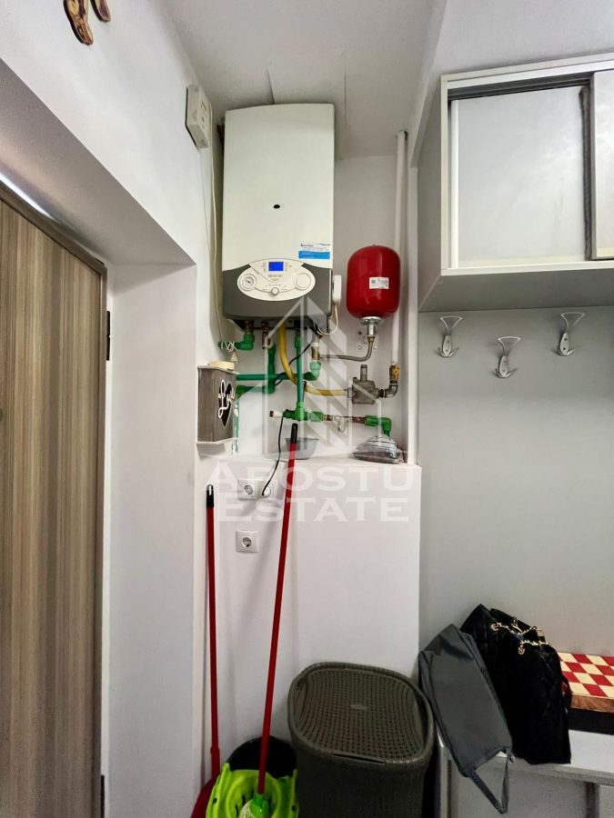 Doua apartamente de vanzare la curte comuna,zona Traian, Timisoara - foto 8